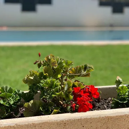 Terrazas - Primera Linea De Playa Con Netflix, Disney, Movistar Con Todo El Futbol, Series, Cine Y Prime Video